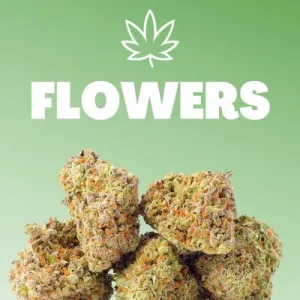 Buy THC Flower UK