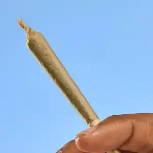 Buy THC Pre-Rolls UK