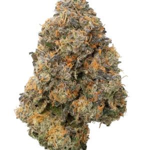 Think Tank Strain UK
