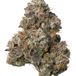 Lemon Cherry Gelato Strain UK