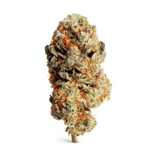 Cheddar Cheese Strain UK