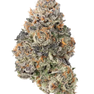 Gorilla Cookies Strain UK