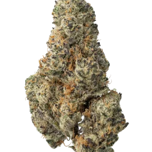 Alpine Sunrise Strain UK