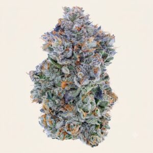 Blue Face Strain UK