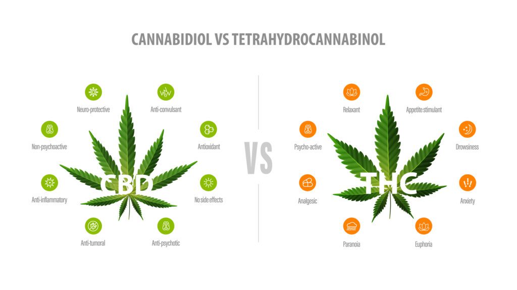 THC vs CBD UK Guide